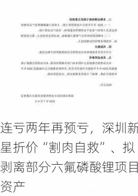 连亏两年再预亏，深圳新星折价“割肉自救”、拟剥离部分六氟磷酸锂项目资产