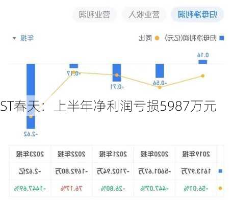 ST春天：上半年净利润亏损5987万元