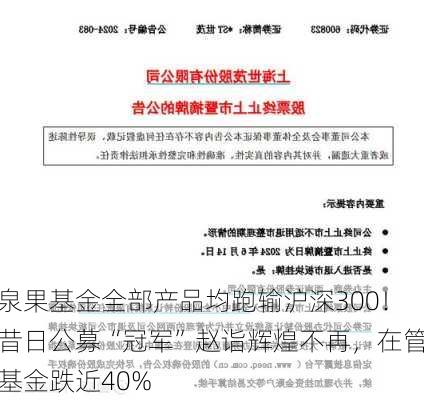 泉果基金全部产品均跑输沪深300！昔日公募“冠军”赵诣辉煌不再，在管基金跌近40%