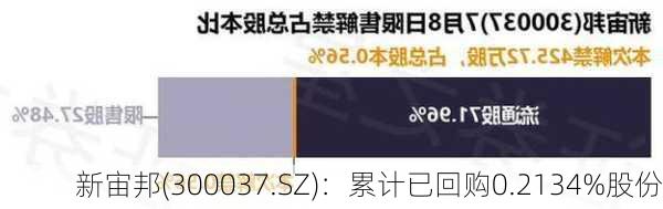 新宙邦(300037.SZ)：累计已回购0.2134%股份