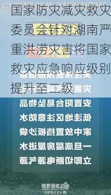 国家防灾减灾救灾委员会针对湖南严重洪涝灾害将国家救灾应急响应级别提升至二级