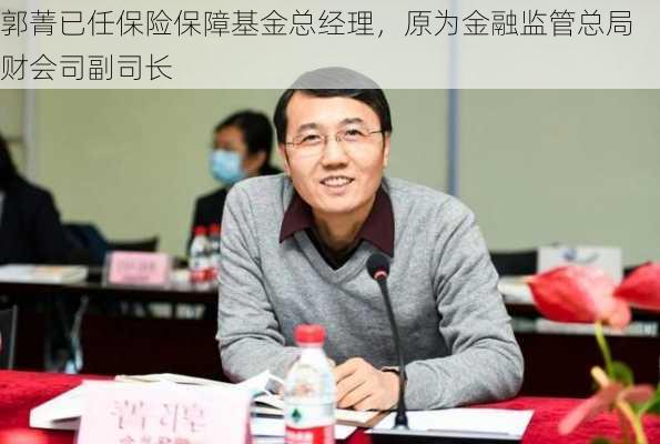 郭菁已任保险保障基金总经理，原为金融监管总局财会司副司长