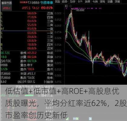 低估值+低市值+高ROE+高股息优质股曝光，平均分红率近62%，2股市盈率创历史新低