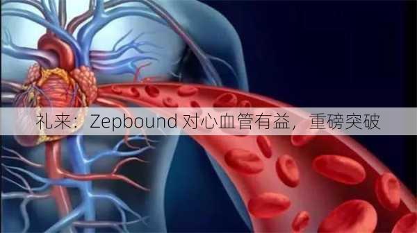 礼来：Zepbound 对心血管有益，重磅突破