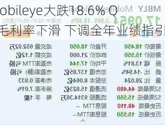 Mobileye大跌18.6% Q2毛利率下滑 下调全年业绩指引