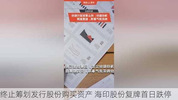 终止筹划发行股份购买资产 海印股份复牌首日跌停