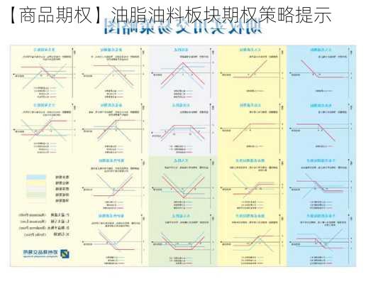 【商品期权】油脂油料板块期权策略提示