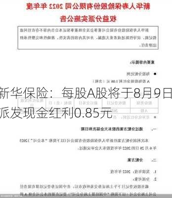 新华保险：每股A股将于8月9日派发现金红利0.85元