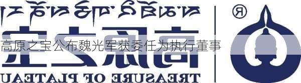 高原之宝公布魏光军获委任为执行董事