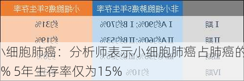 小细胞肺癌：分析师表示小细胞肺癌占肺癌的15% 5年生存率仅为15%