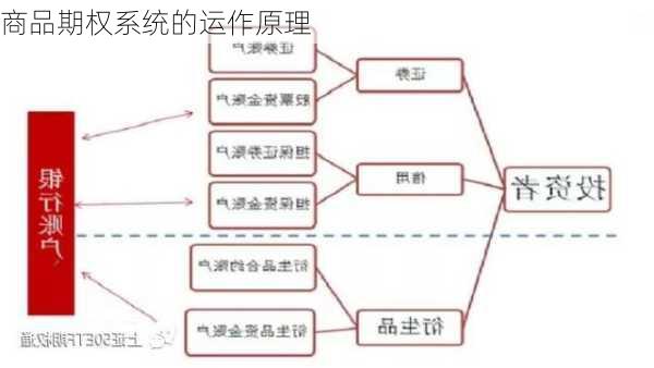 商品期权系统的运作原理