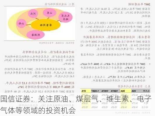 国信证券：关注原油、煤层气、维生素、电子气体等领域的投资机会