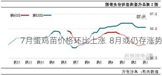 7月蛋鸡苗价格环比上涨  8月或仍存涨势