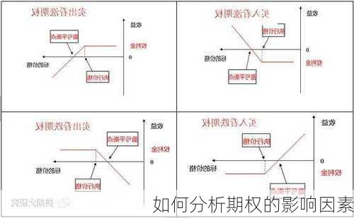 如何分析期权的影响因素