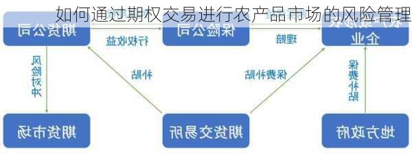 如何通过期权交易进行农产品市场的风险管理