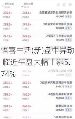 悟喜生活(新)盘中异动 临近午盘大幅上涨5.74%