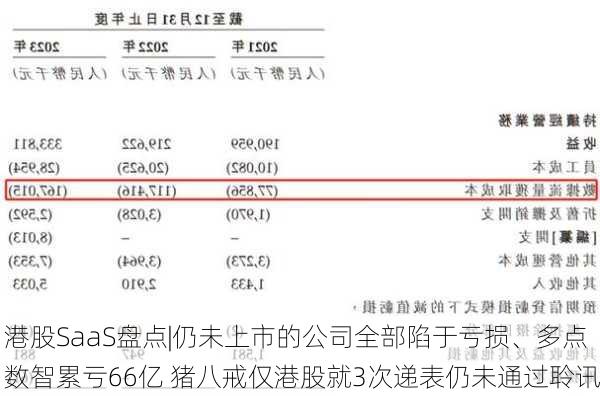 港股SaaS盘点|仍未上市的公司全部陷于亏损、多点数智累亏66亿 猪八戒仅港股就3次递表仍未通过聆讯