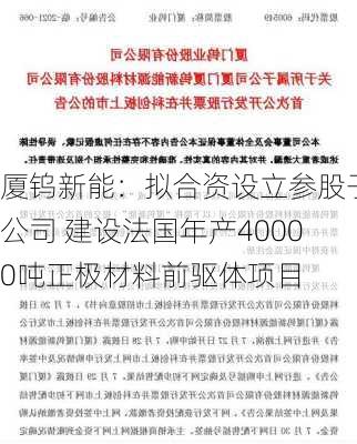 厦钨新能：拟合资设立参股子公司 建设法国年产40000吨正极材料前驱体项目