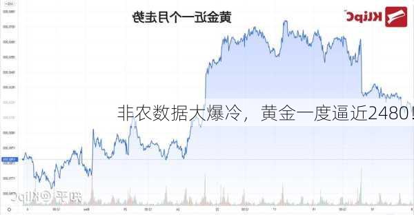 非农数据大爆冷，黄金一度逼近2480！