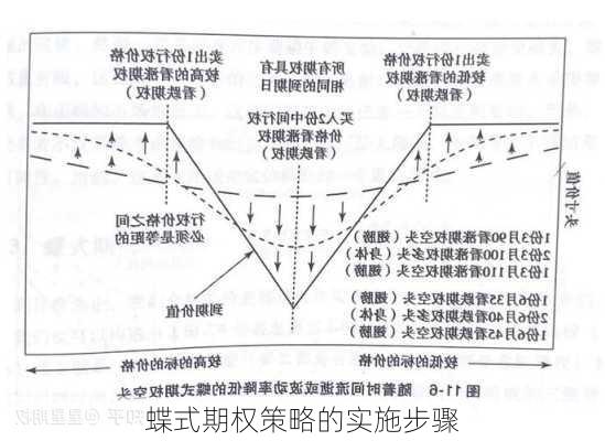 蝶式期权策略的实施步骤