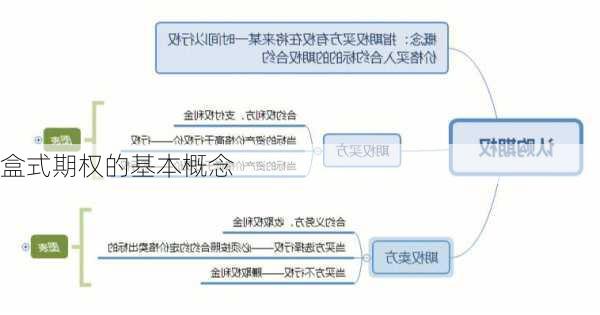 盒式期权的基本概念