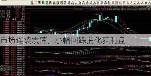 市场连续震荡，小幅回踩消化获利盘