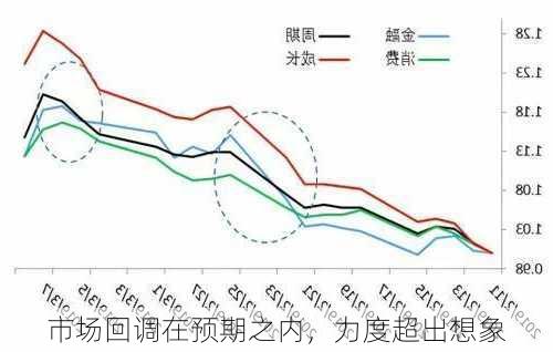 市场回调在预期之内，力度超出想象