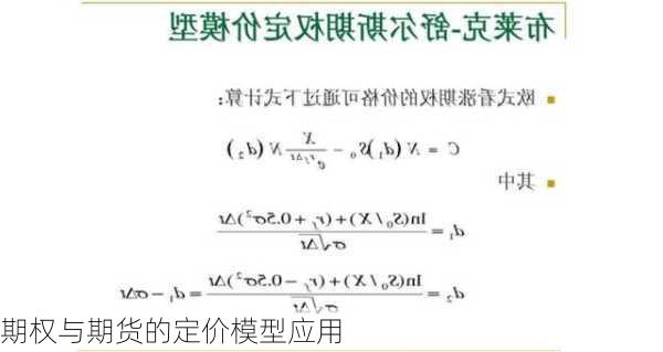 期权与期货的定价模型应用