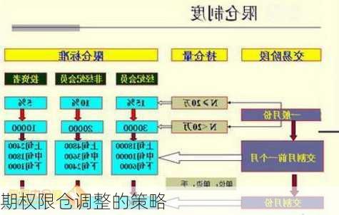 期权限仓调整的策略