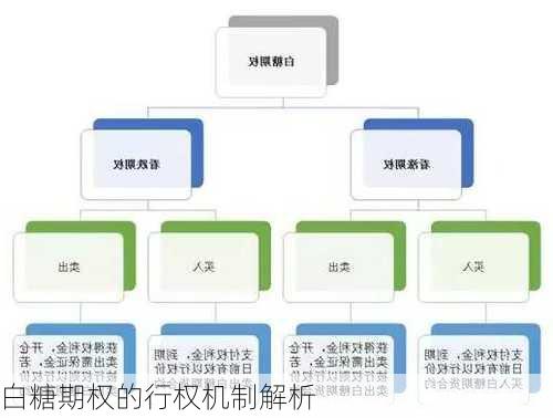 白糖期权的行权机制解析