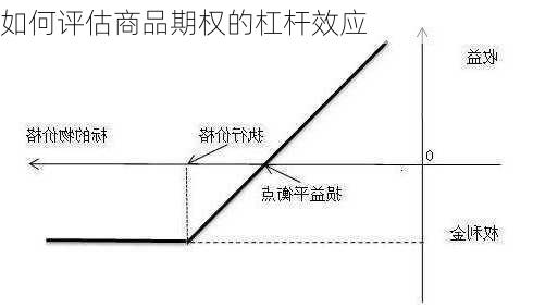 如何评估商品期权的杠杆效应