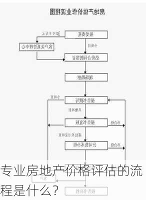 专业房地产价格评估的流程是什么？