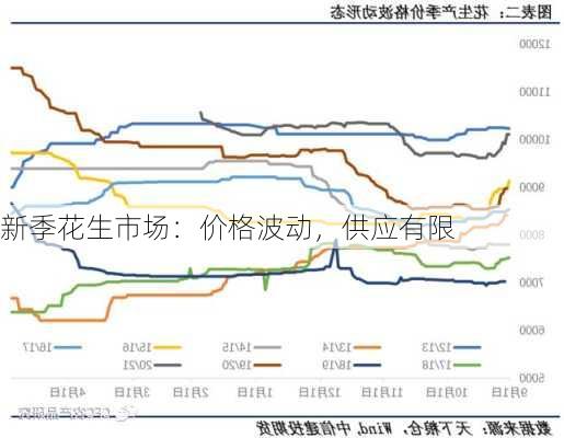 新季花生市场：价格波动，供应有限