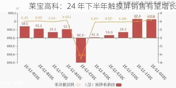 莱宝高科：24 年下半年触摸屏销售有望增长