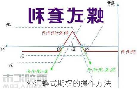 外汇蝶式期权的操作方法