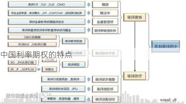 中国利率期权的特点