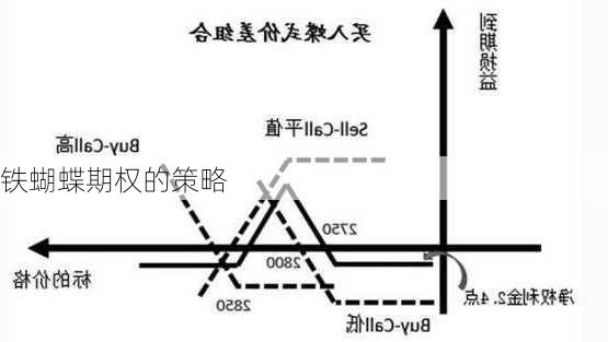 铁蝴蝶期权的策略