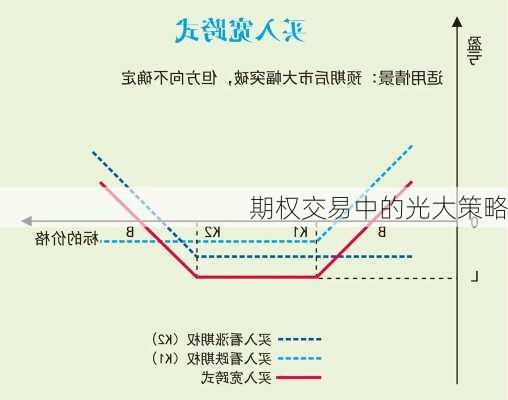 期权交易中的光大策略