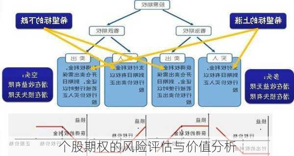 个股期权的风险评估与价值分析