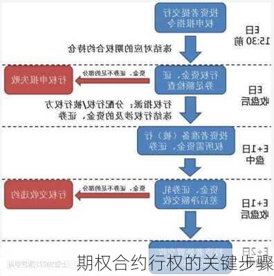 期权合约行权的关键步骤