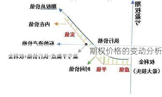 期权价格的变动分析