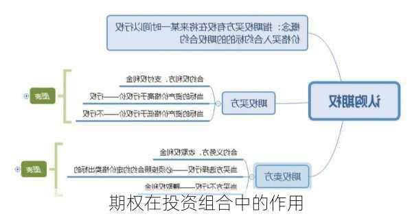 期权在投资组合中的作用