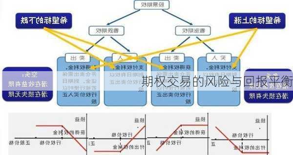 期权交易的风险与回报平衡