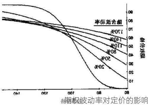 期权波动率对定价的影响