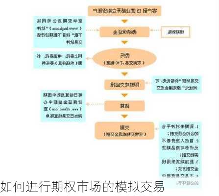 如何进行期权市场的模拟交易