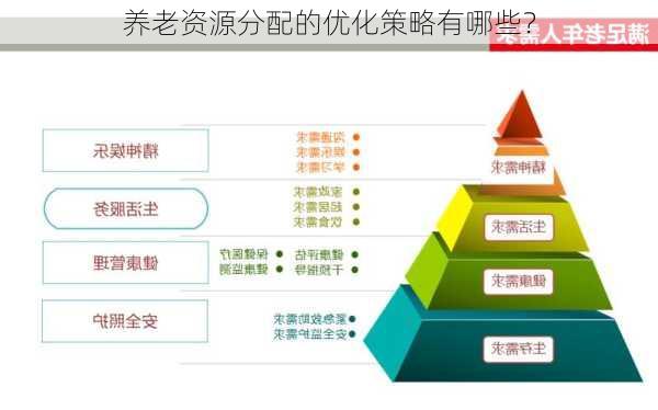 养老资源分配的优化策略有哪些？