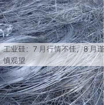 工业硅：7 月行情不佳，8 月谨慎观望