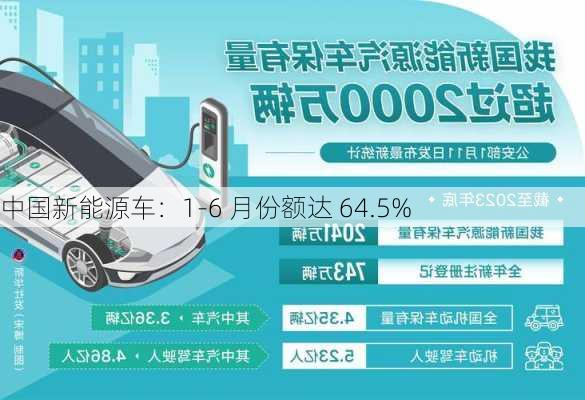 中国新能源车：1-6 月份额达 64.5%