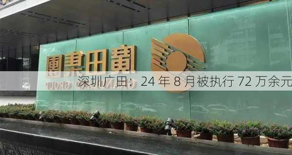 深圳广田：24 年 8 月被执行 72 万余元