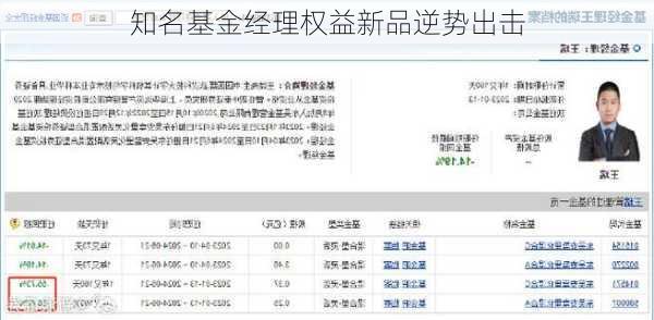 知名基金经理权益新品逆势出击